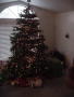Christmas Morning